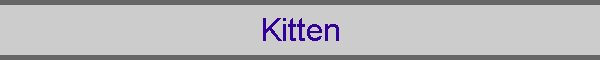 Kitten
