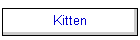Kitten
